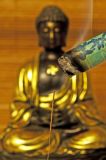 Moxibustion Therapy - therische Moxibustion