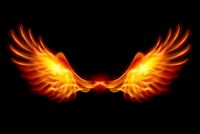 Phoenix Wings Essence