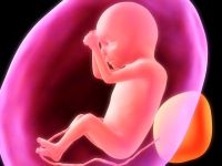 Life-Womb Essence - Schoss des Lebens Essenz