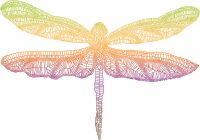 Rainbow Dragonfly Reiki - Regebogen Libelle Reiki