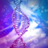 SUPER DNA Light Integrative