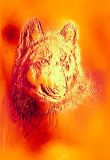 Golden Wolf Ray Energetic - Goldener Wolf Strahl Energetik