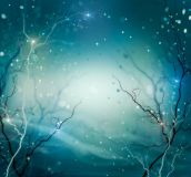 Magickal Snow Essence - Magischer Schnee Essenz