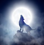 Silver Wolf Howl Energetic