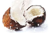 Coconut Essence - Kokosnussessenz