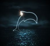 Dolphin Radar System - Delfin Radarsystem