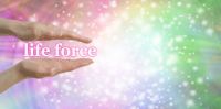 Life Force Booster - Lebensenergie Verstrker