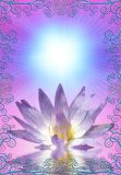 Mystical Lotus Body - Mystischer Lotuskörper