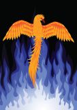 Phoenix Rising Reiki