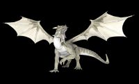 White Dragon Reiki - Weier Drache Reiki