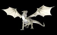 White Dragon Reiki