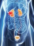 Kidneys and Bladder Care TM - Nieren und Blasen Frsorge