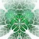 Wintergreen Reiki - Wintergrn Reiki