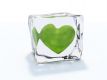 Heart Cooler Essence - Herzberuhigende Essenz