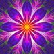 Soul Point Attunement - Seelenpunkt Einweihung