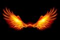 Phoenix Wings Essence - Phoenixflgelessenz
