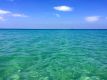 Blue Sea Essence - Blaues Meer Essenz
