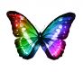 Butterfly Spirit Essence - Geist des Schmetterlings Essenz