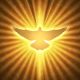 Golden Dove Healing - Goldene Taube Heilung