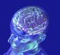 Brain Purification Empowerment - Gehirn Klärungs Ermächtigung