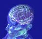 Brain Purification Empowerment - Gehirn Klrungs Ermchtigung