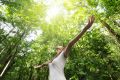 Vitalkraft Reiki