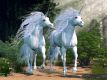 Myst of the Unicorn Reiki Lightwork - Mysterium des Einhorns