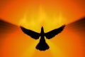 Shadow Phoenix - Black Phoenix of Protection - Schutz