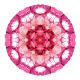 Emotional Autoimmune Disease Healing Reiki