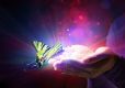 Butterfly of Abundance Reiki - Schmetterling der Flle Reiki