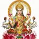 Lakshmi Power 2015