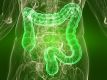 LArge Intestine Meridian Energy Treatment (GERMAN)