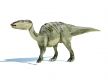 The Edmontosaurus Attunement - Die Edmontosaurus Einweihung