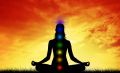 Chakra Care (German) Master (Level 1-3)