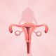 Vaginal Care Meistergrad