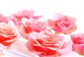 Rose Water Essence - Rosenwasser Essenz