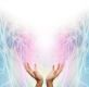 Healing Energy Accelerator - Heilungsenergie Beschleuniger