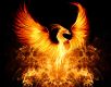 Fire of the Phoenix Reiki - Feuer des Phoenix Reiki