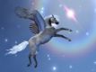 Pegasus Rainbow Energy