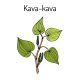 Kava-Kava Reiki (German)