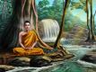 Holy Waterfall Essence - Heiliger Wasserfall Essenz (KLRUNG)