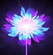 Light Bodies 8-12 Enlightenment Reiki - Lichtkrper 8-12 Erleuchtung Reiki