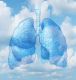 Lung Adaptation Essence - Lungenanpassungsessenz