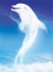 Dolphin White Wave (English)