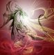 Dragons of the fire