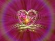 Glck der Elohim (+ Booster)
