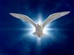 Rising Above Reiki (Englisch)