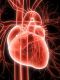 Heart Care TM - Herz Fürsorge